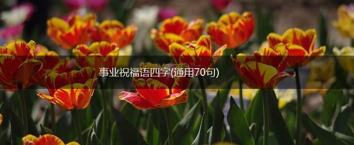 事业祝福语四字(通用70句),第1张