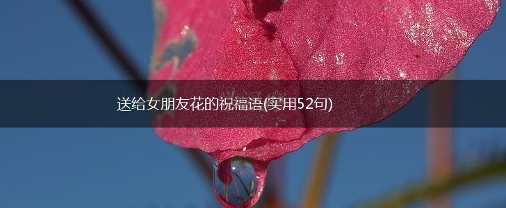 送给女朋友花的祝福语(实用52句),第1张