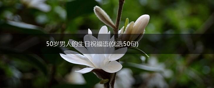 50岁男人的生日祝福语(优选50句),第1张