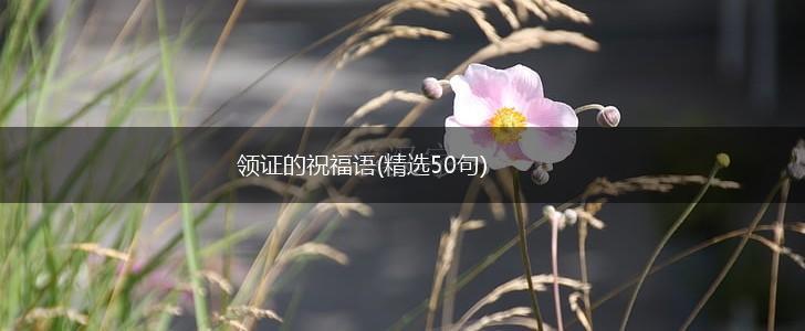 领证的祝福语(精选50句),第1张