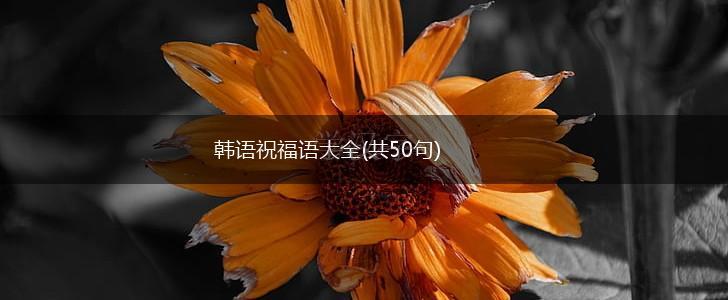 韩语祝福语大全(共50句),第1张