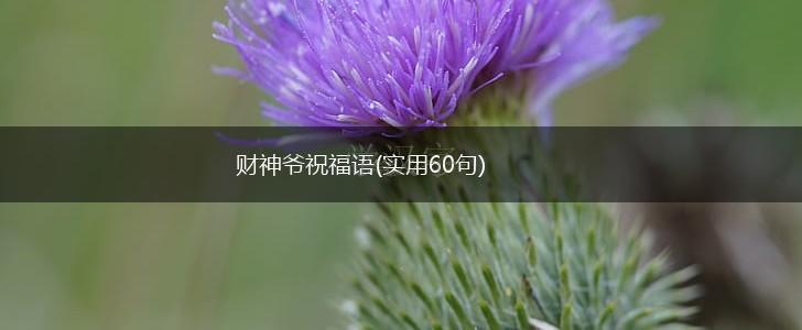 财神爷祝福语(实用60句),第1张