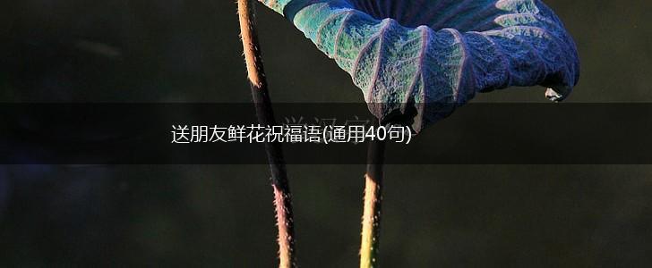 送朋友鲜花祝福语(通用40句),第1张