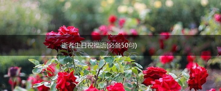 逝者生日祝福语(必备50句),第1张