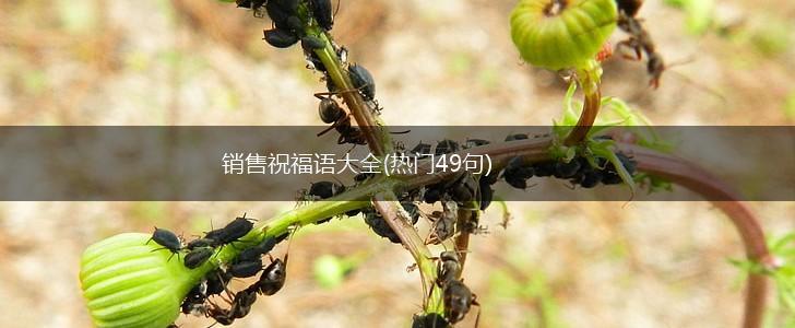 销售祝福语大全(热门49句),第1张