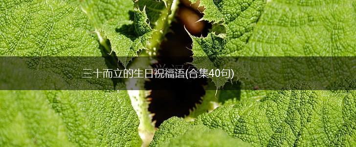 三十而立的生日祝福语(合集40句),第1张