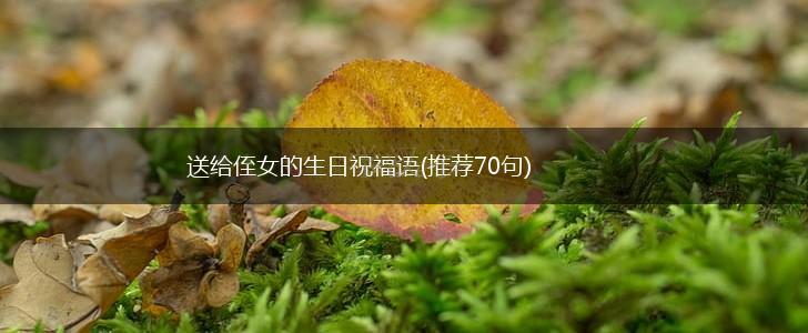 送给侄女的生日祝福语(推荐70句),第1张