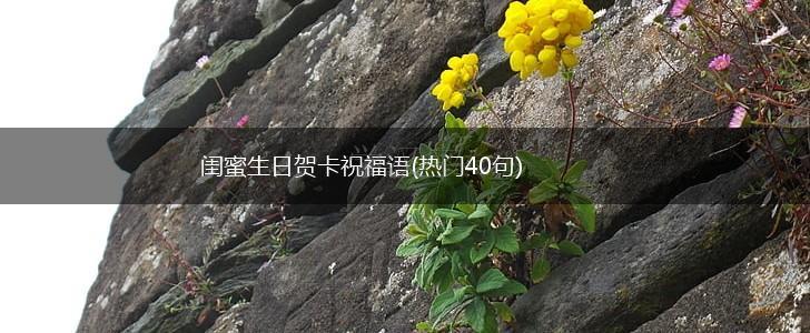 闺蜜生日贺卡祝福语(热门40句),第1张