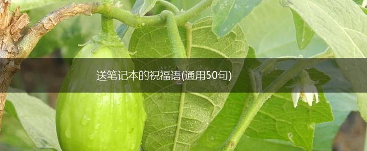 送笔记本的祝福语(通用50句),第1张