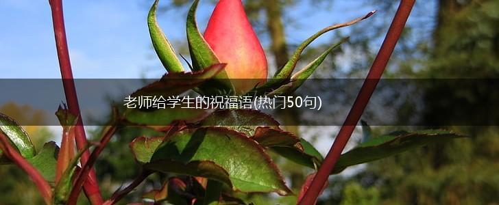 老师给学生的祝福语(热门50句),第1张