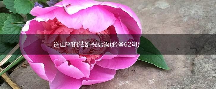 送闺蜜的结婚祝福语(必备62句),第1张