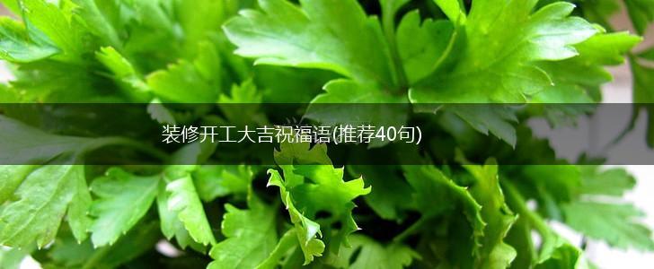 装修开工大吉祝福语(推荐40句),第1张