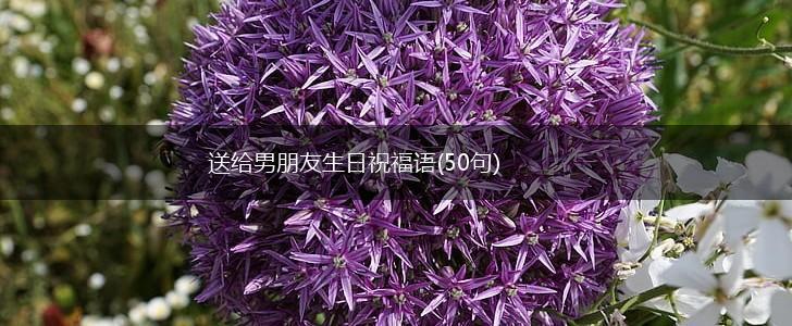 送给男朋友生日祝福语(50句),第1张