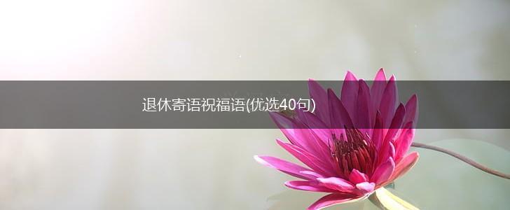 退休寄语祝福语(优选40句),第1张