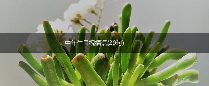 中年生日祝福语(30句),第1张