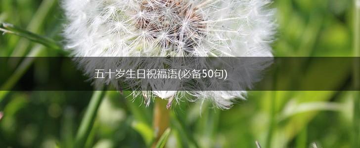 五十岁生日祝福语(必备50句),第1张