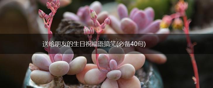 送给朋友的生日祝福语搞笑(必备40句),第1张