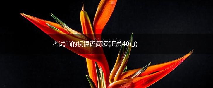 考试前的祝福语简短(汇总40句),第1张