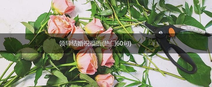 领导结婚祝福语(热门60句),第1张