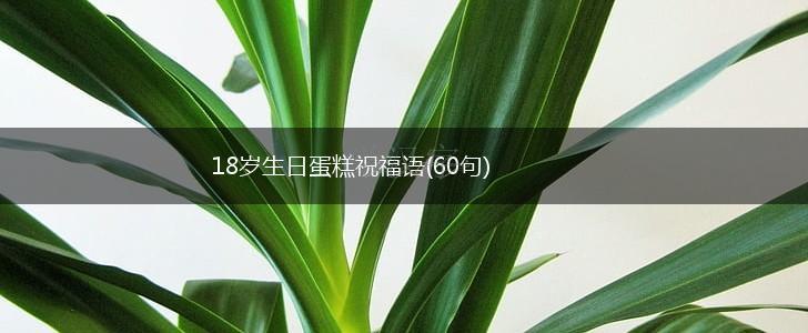 18岁生日蛋糕祝福语(60句),第1张