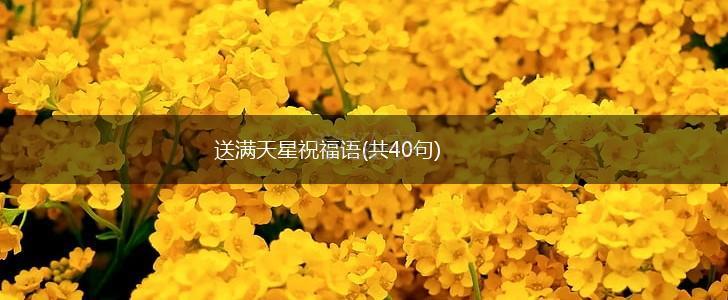 送满天星祝福语(共40句),第1张