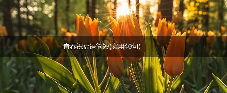 青春祝福语简短(实用40句),第1张