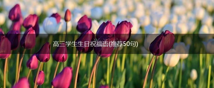 高三学生生日祝福语(推荐50句),第1张