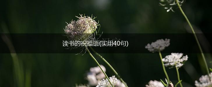 读书的祝福语(实用40句),第1张