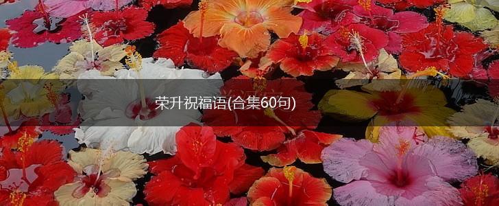 荣升祝福语(合集60句),第1张