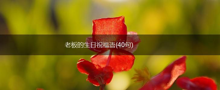 老板的生日祝福语(40句),第1张