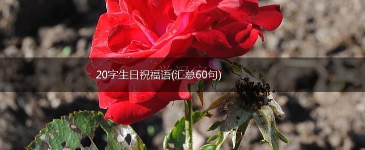 20字生日祝福语(汇总60句),第1张