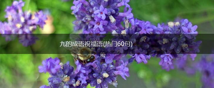 九的成语祝福语(热门60句),第1张