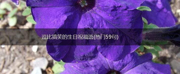 逗比搞笑的生日祝福语(热门59句),第1张