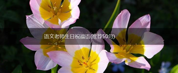 语文老师生日祝福语(推荐50句),第1张