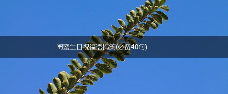 闺蜜生日祝福语搞笑(必备40句),第1张