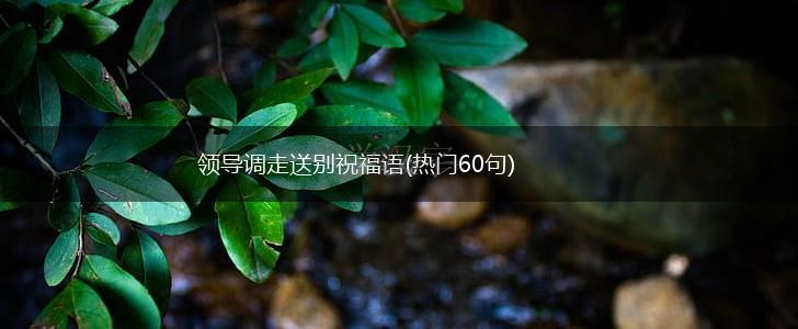 领导调走送别祝福语(热门60句),第1张