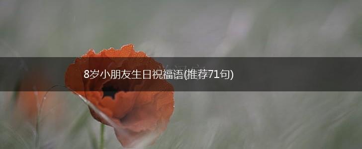 8岁小朋友生日祝福语(推荐71句),第1张