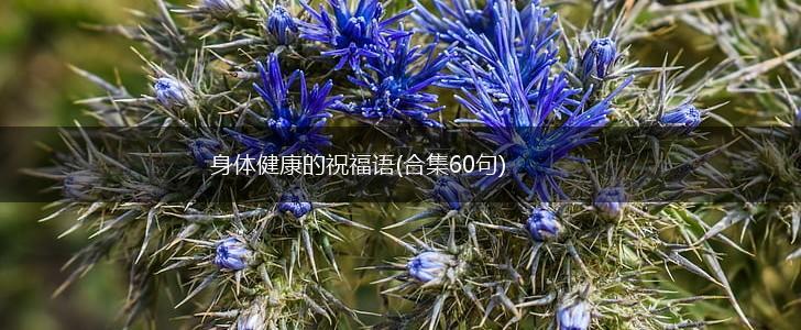 身体健康的祝福语(合集60句),第1张