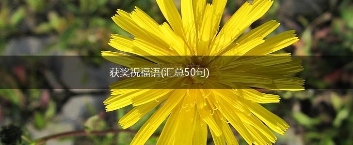 获奖祝福语(汇总50句),第1张