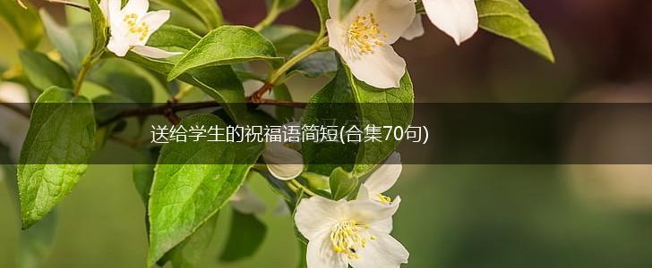 送给学生的祝福语简短(合集70句),第1张