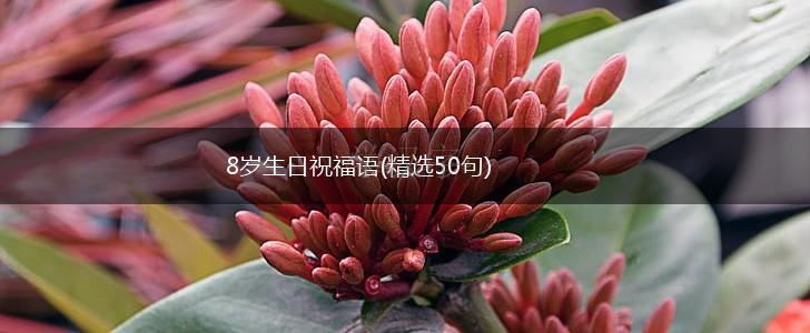 8岁生日祝福语(精选50句),第1张