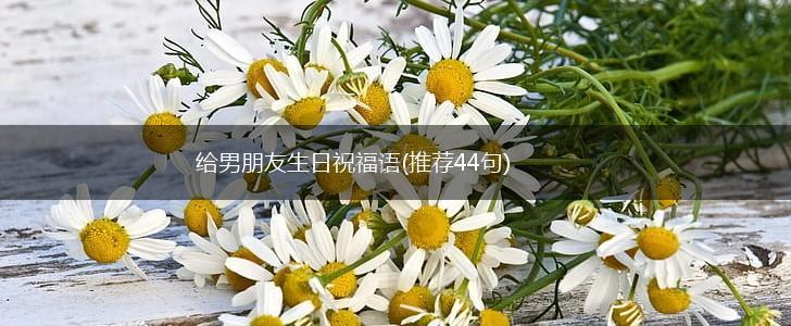 给男朋友生日祝福语(推荐44句),第1张