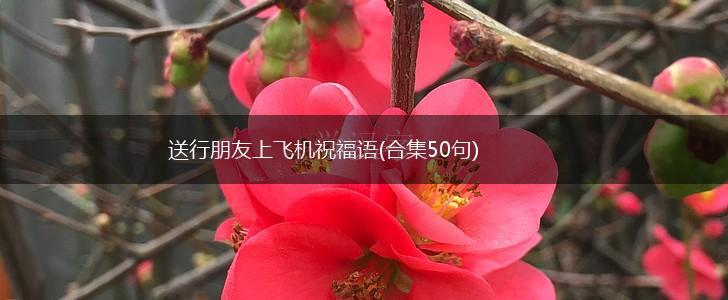 送行朋友上飞机祝福语(合集50句),第1张