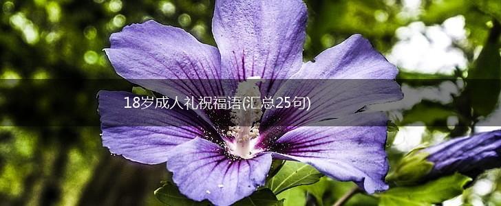 18岁成人礼祝福语(汇总25句),第1张