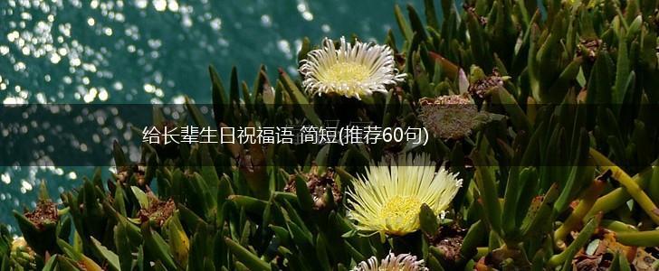 给长辈生日祝福语 简短(推荐60句),第1张