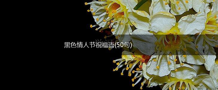 黑色情人节祝福语(50句),第1张