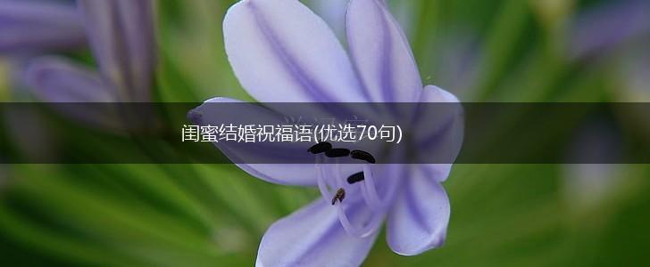 闺蜜结婚祝福语(优选70句),第1张