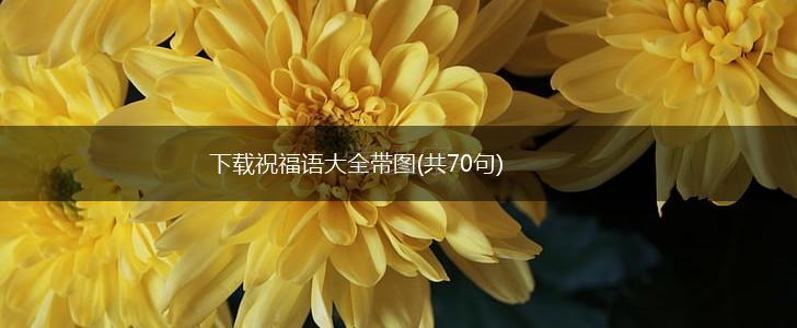 下载祝福语大全带图(共70句),第1张