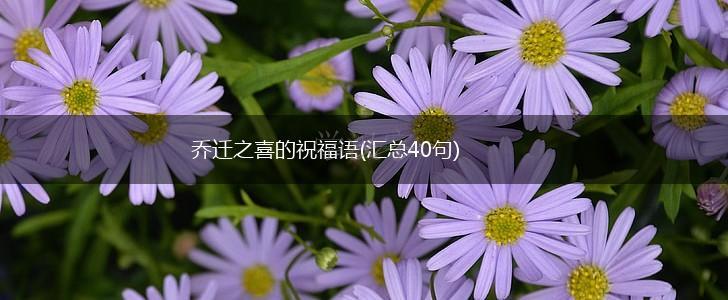 乔迁之喜的祝福语(汇总40句),第1张