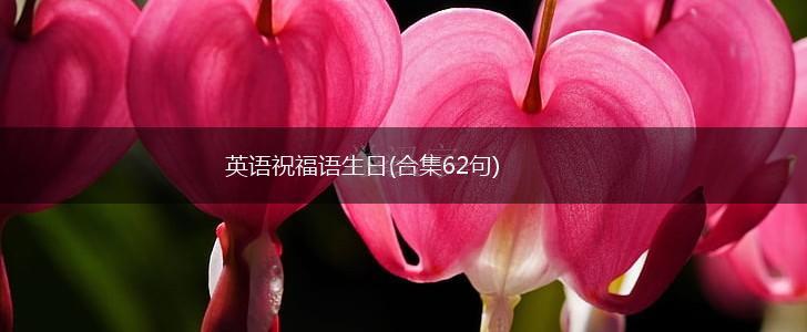 英语祝福语生日(合集62句),第1张